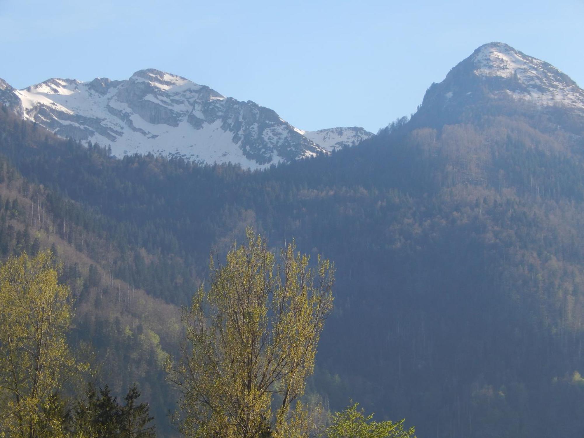 Apartments Bb Bohinj Luaran gambar