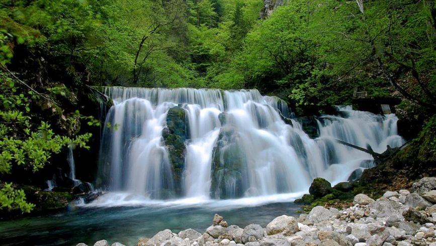 Apartments Bb Bohinj Luaran gambar