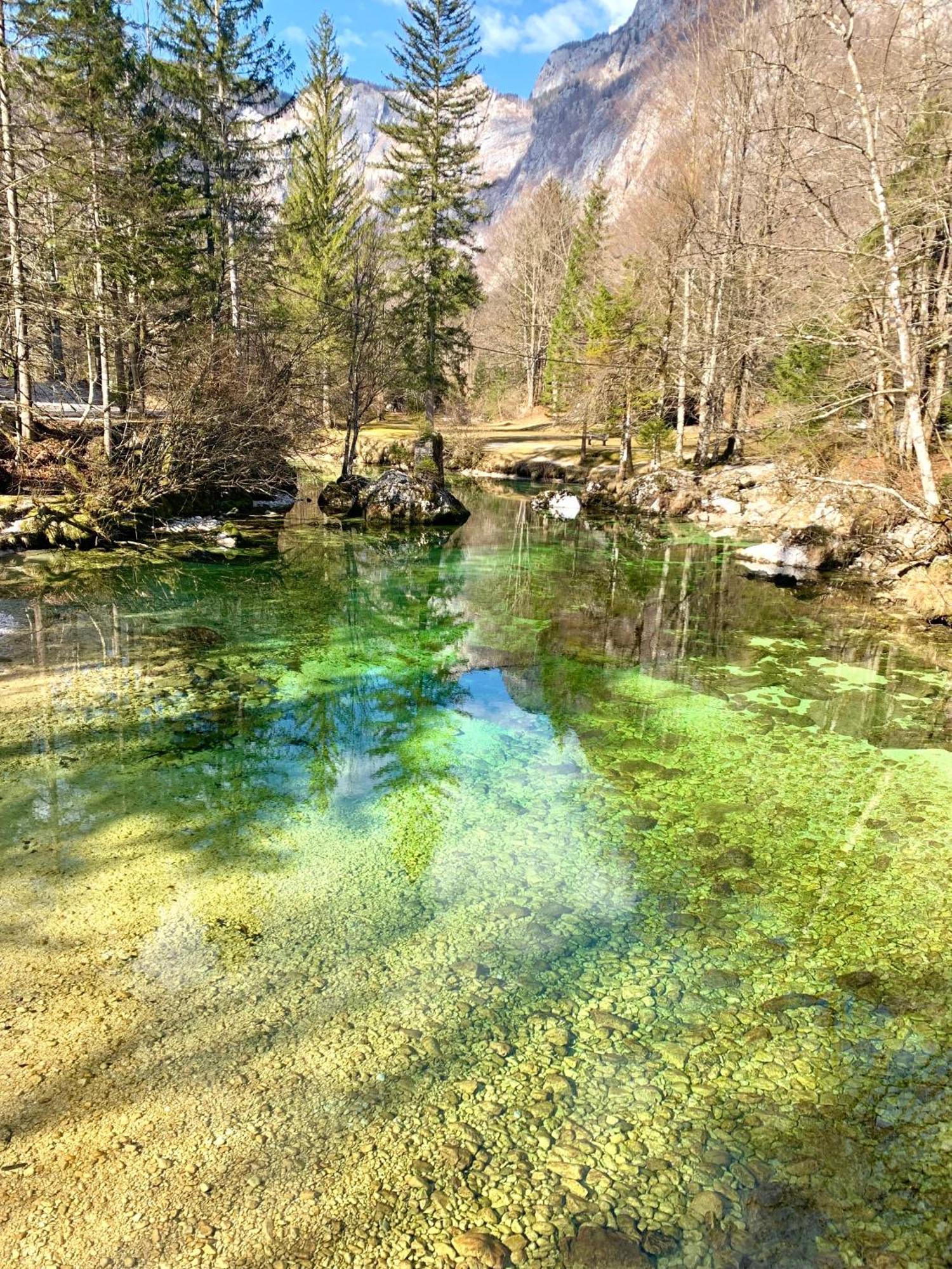 Apartments Bb Bohinj Luaran gambar